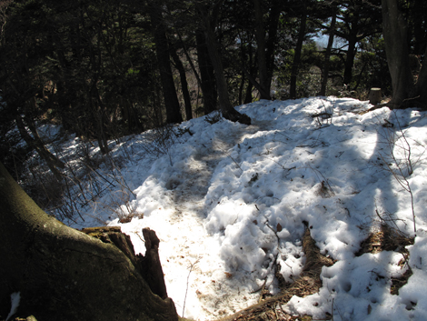 20160128hike (104)